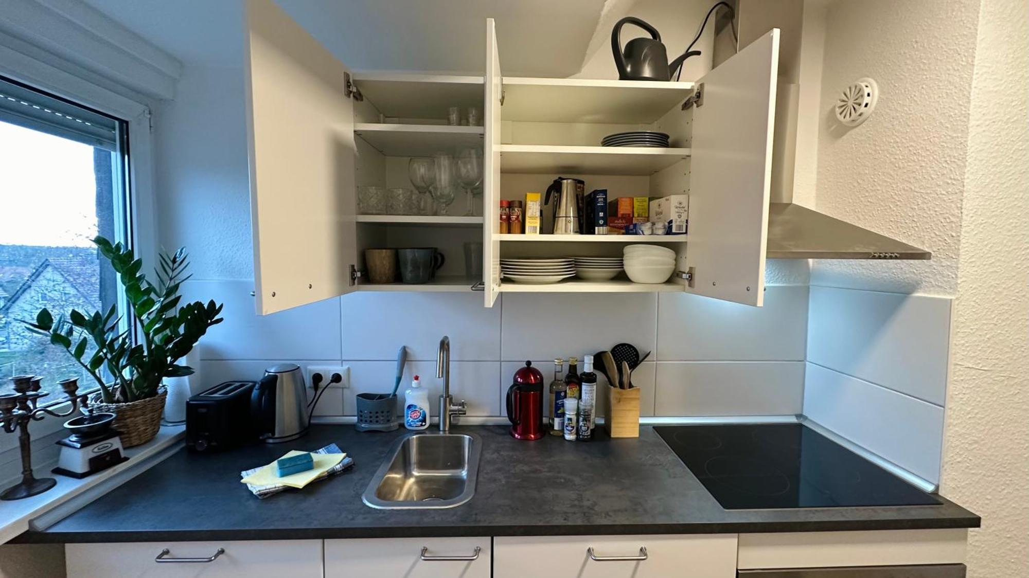 Micasa Tuсasa - 2-R-Apartment Leipziger Neuseenland Hydra Borna Eksteriør billede